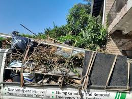 Best Dumpster Rental Services  in Montclair State University, NJ